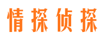 新城侦探公司